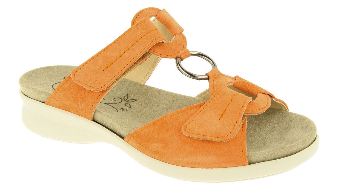 Womens Wide Fit DB Scooter Mule Sandals